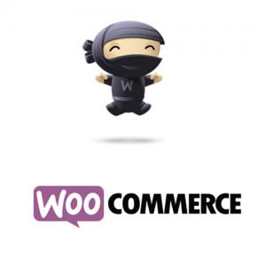 Extension Woocommerce maintenant disponible !